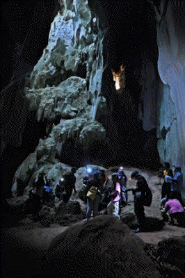12-gua-pagar2