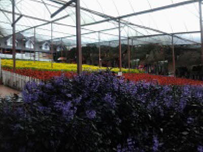 20140428_122551