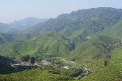 DSC03840
