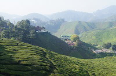 DSC03841