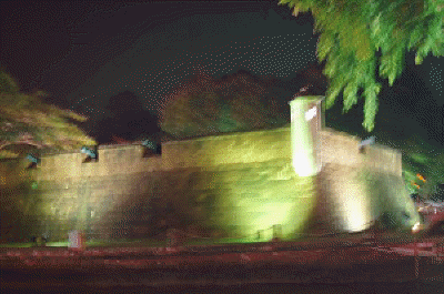 DSC05319