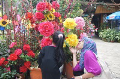 DSC05951
