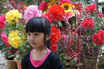 DSC05952