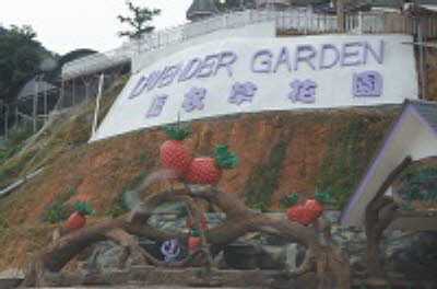 DSC05971