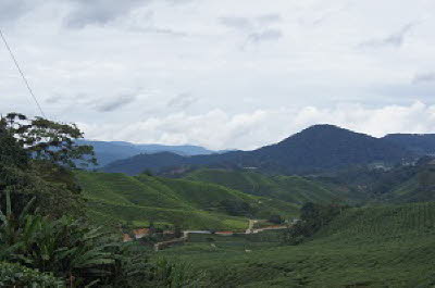 DSC05982