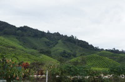 DSC05985