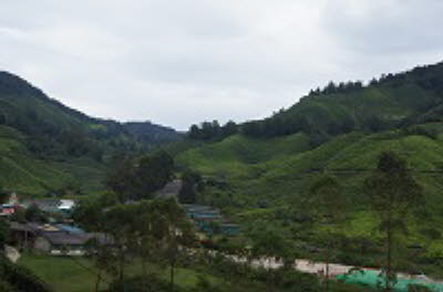 DSC05990