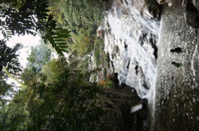 DSC06080