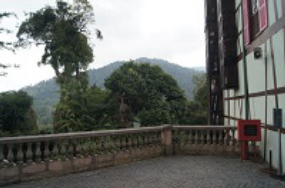 DSC07313