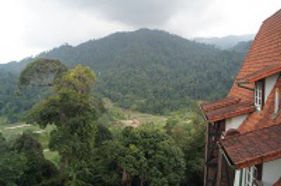 DSC07329