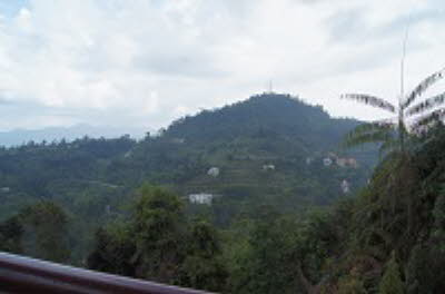 DSC07332