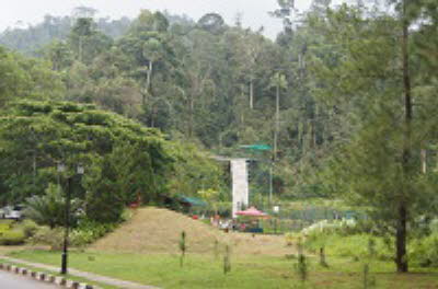 DSC07355