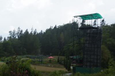 DSC07357