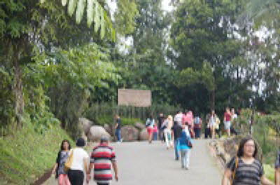 DSC07366