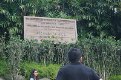 DSC07368