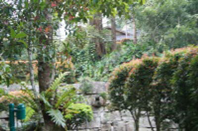 DSC07373