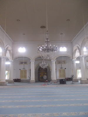 DSCN0113