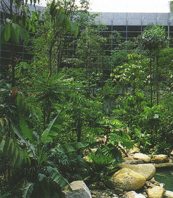 FOREST2