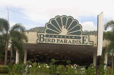 bird paradise langkawi