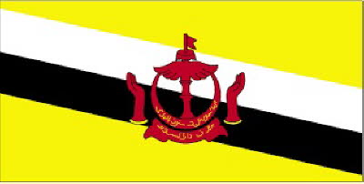 brunei flag