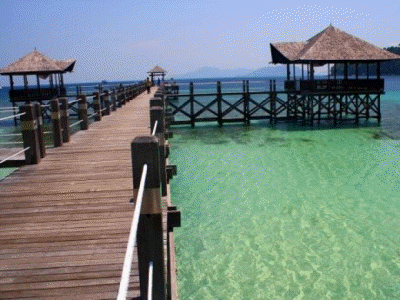 bunga raya island
