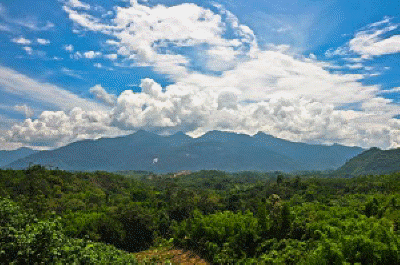 dabong-indah