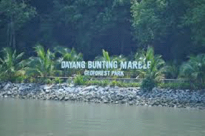 dayang bunting 3