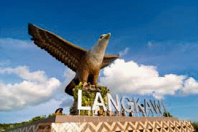 eagle qsquare