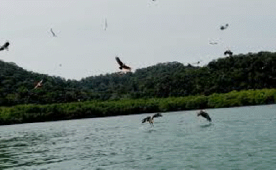 ecopark langkawi