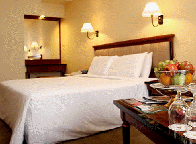 executive room dynasty