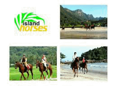 horse riding langkawi
