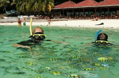 snorkeling 3