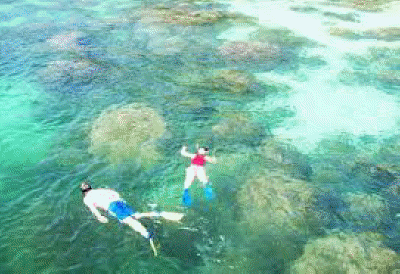 snorkeling 4