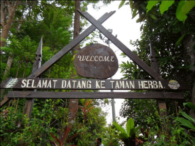 taman-herba-kenyir
