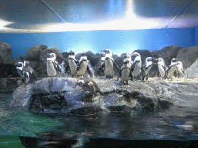 underwater world langkawi