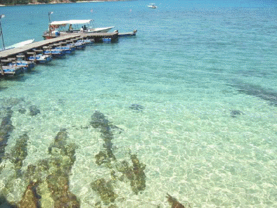 viewfromgemislandresort1