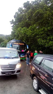 wym5171 temerloh
